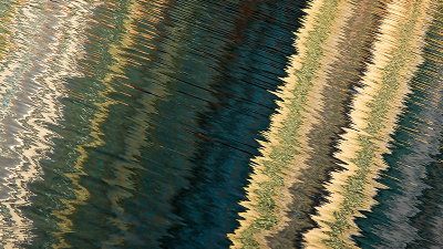 St. John's River Abstraction #5