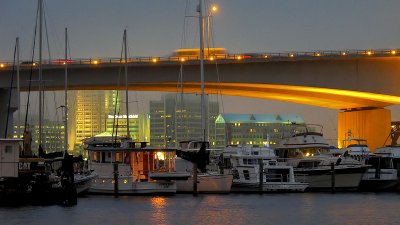 Foggy Marina
