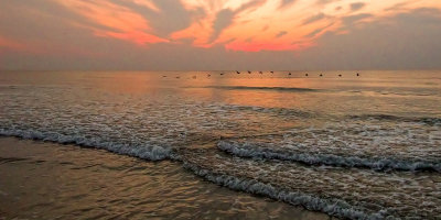 Pelicans at Dawn