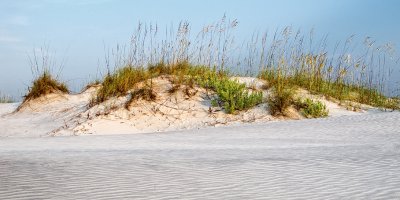 Dunes of Little Talbot Island II