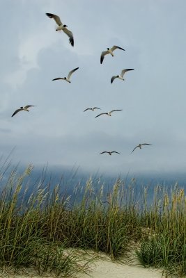 Storm at the Beach II