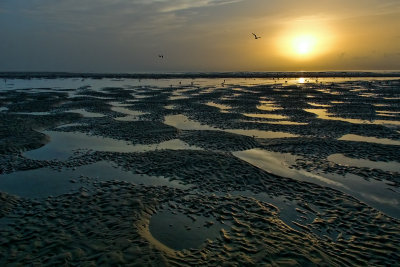 Sun Up in the Tidal Pools