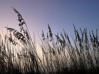 Dawn on St Augustine Beach