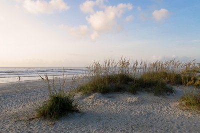 Sea Oats