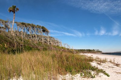 Big Talbot Island