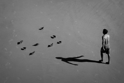 Some Guy with Eight Birds