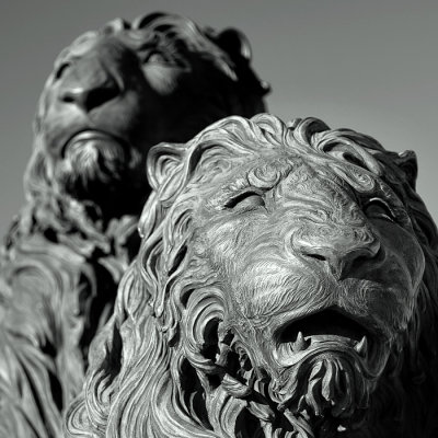 San Marco Lions