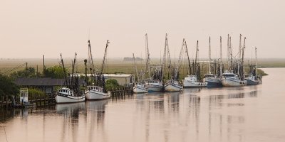 Darien Shrimpers II