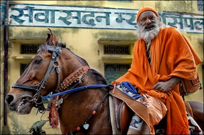 The Guru on His Horse