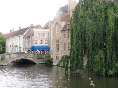 IMG_1306.JPG