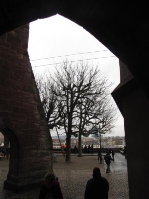 IMG_2978 (Large).jpg