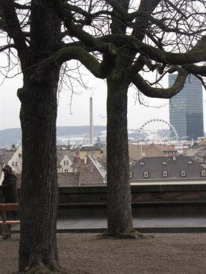 IMG_2979 (Large).jpg