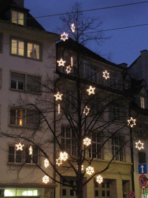 IMG_3025 (Large).jpg
