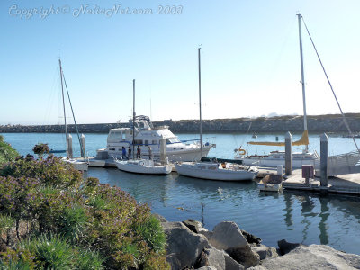 Entrance to Yacht Harbor