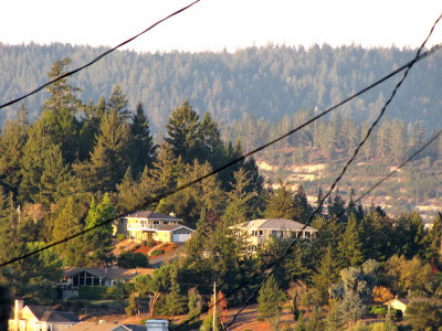 Looking Out over the Valley