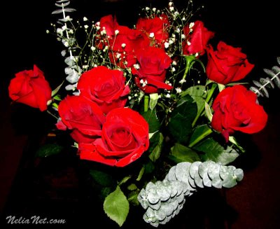 Valentine's Day!
