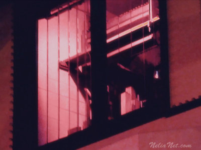 Window Showing Louvers