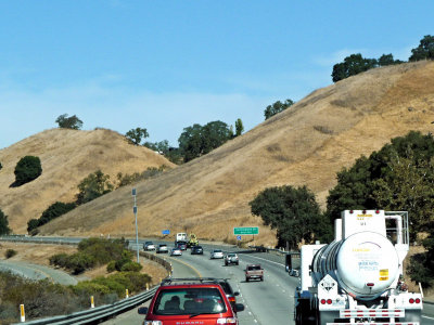 Golden Hills