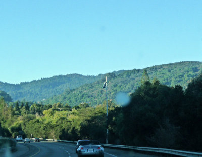 Los Gatos and the Santa Cruz Mt. Foothills