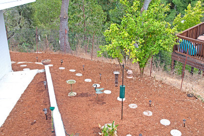 Backyard with New Bird Feeders