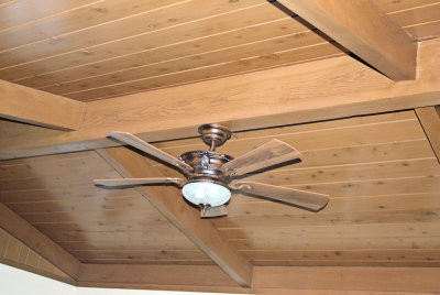 New Fan - This One has a Light and a Remote