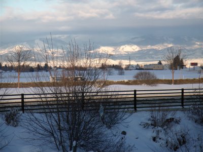 view through window