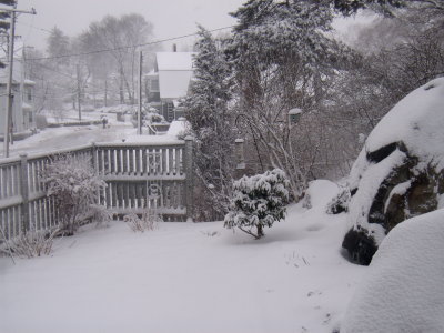 snowy morning  1/09