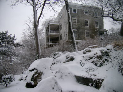 snowy morning 1/09