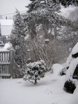 snowy morning 1/09