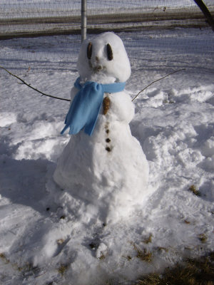 the other snowman