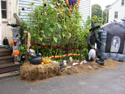 DSCN3902.JPG