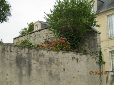 IMG_0733.JPG