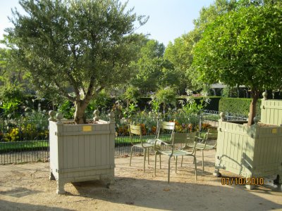 jardin du Luxembourg