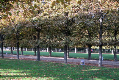 IMG_0796.jpg