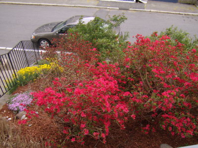 May 12 7.JPG