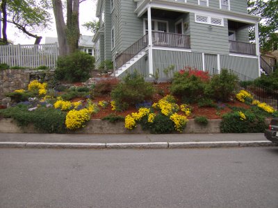 May 12 9.JPG