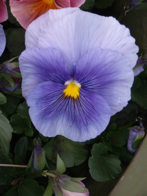 GEDC0938.JPG