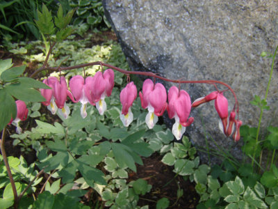 May 16
