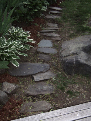 garden path 5-26.JPG