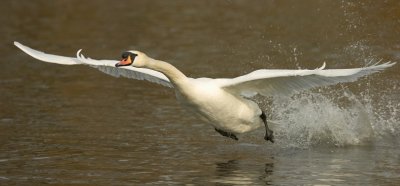 _DSC5963.jpg