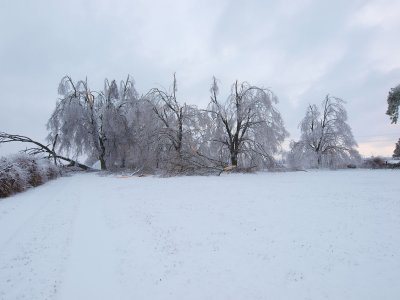 E3281113.JPG
