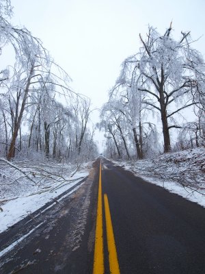 Snap shots of the 2009 West Kentucky Ice Storm