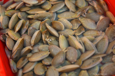 KLIN4003.jpg