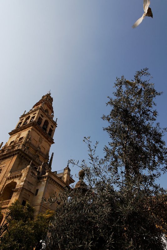 mosqueetourentree.jpg