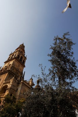 mosqueetourentree.jpg