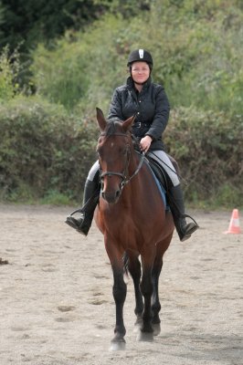 equitation 1 1.jpg