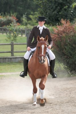 equitation 2 1.jpg