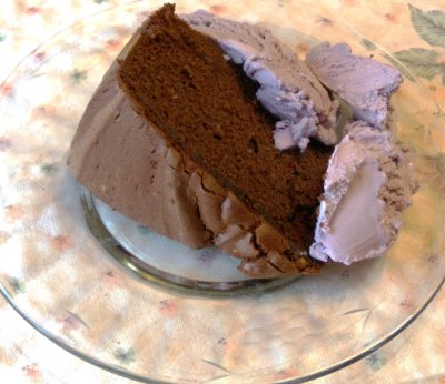 Chocolate Cake and Raspberry Ice Cream