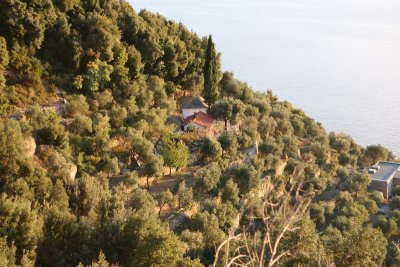 IMG_3138.JPG
