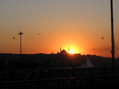 IMG_1835.JPG
